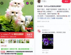 此次电商平台推出的新